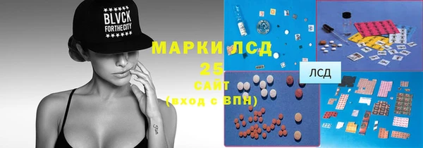 стафф Аркадак