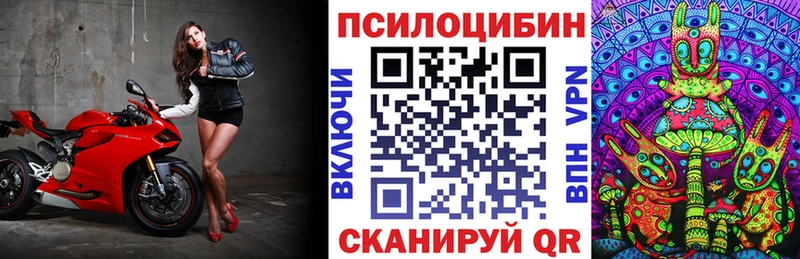 хочу   кракен   Галлюциногенные грибы GOLDEN TEACHER  Инсар 
